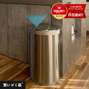 【 賢いゴミ箱 ®️ 特許技術 】自動ゴミ箱 自動開閉 ゴミ箱 47リットル (