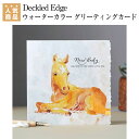  Deckled Edge 顼 ꡼ƥ󥰥  ϶ ʥ祻