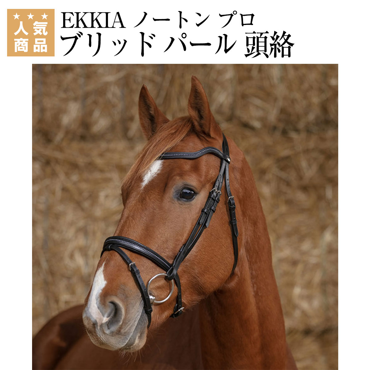 乗馬 頭絡 額革 EKKIA ノートン プロ ブリッド パール 頭絡 乗馬用品 馬具 乗馬用品ジョセス