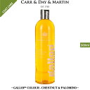 乗馬 シャンプー ホースケア CARR & DAY & MARTIN ギャロップ カラー シャンプー 栗毛＆月毛用 500ml 乗馬用品 馬具 乗馬用品ジョセス