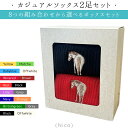 乗馬 スイーツ ギフト Nico カジュアルソックス(2足) ギフトセット 乗馬用品 馬具