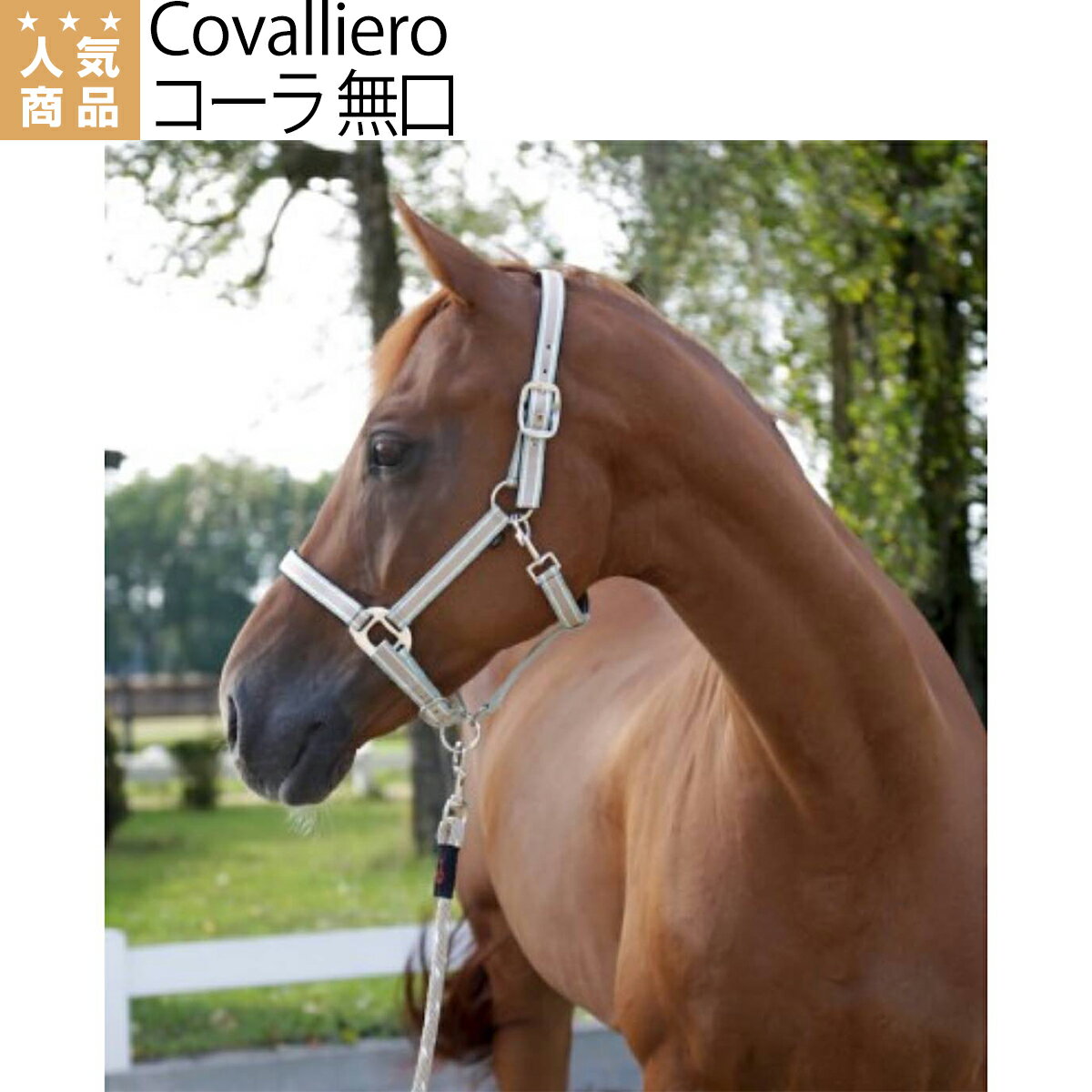 乗馬 無口 曳手 Covalliero コーラ 無口 乗馬用品 馬具 乗馬用品ジョセス