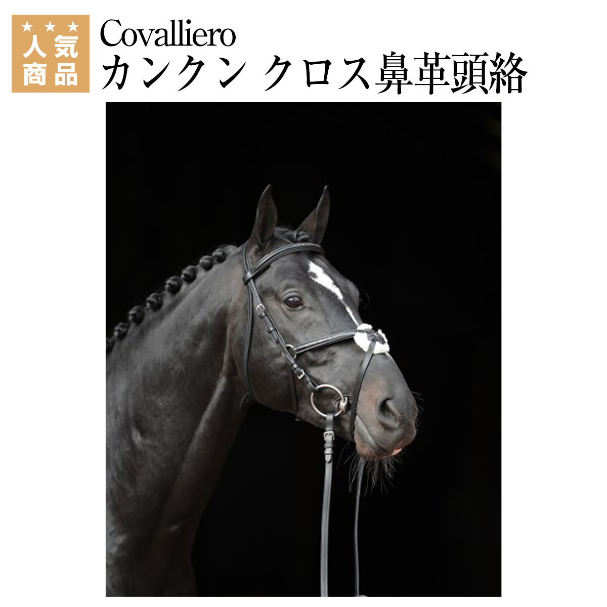 乗馬 頭絡 額革 Covalliero カンクン クロス鼻革頭絡 手綱付き 乗馬用品 馬具 乗馬用品ジョセス