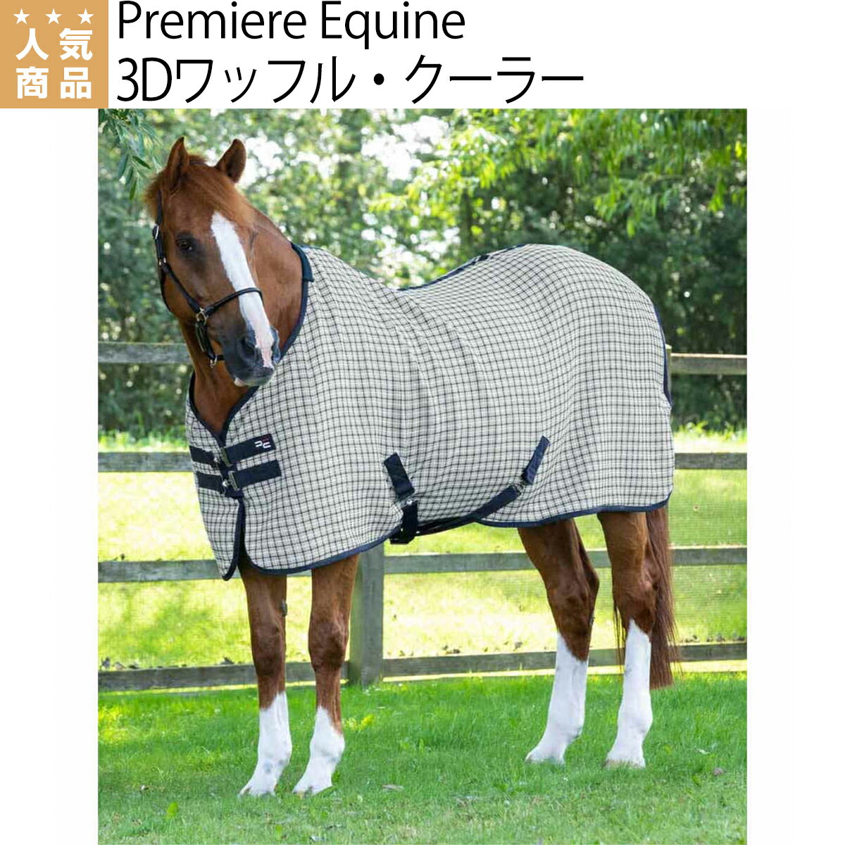 n n Premiere Equine 3Dbt N[[ n npi n npiWZX