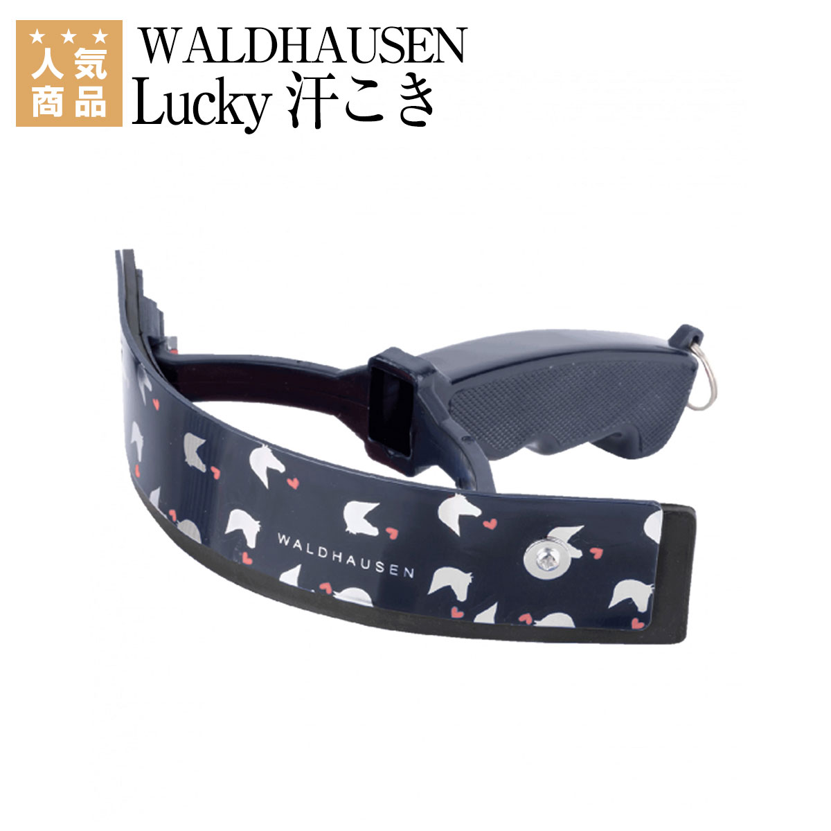   WALDHAUSEN Lucky   ϶ ʥ祻