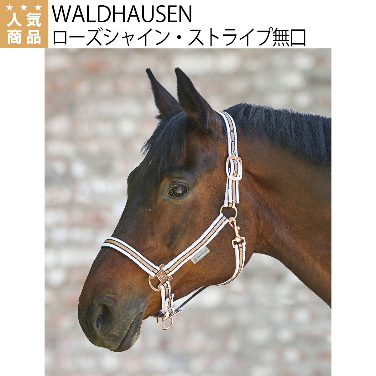 乗馬 無口 曳手 WALDHAUSEN ローズシャイン ストライプ 無口 乗馬用品 馬具 乗馬用品ジョセス