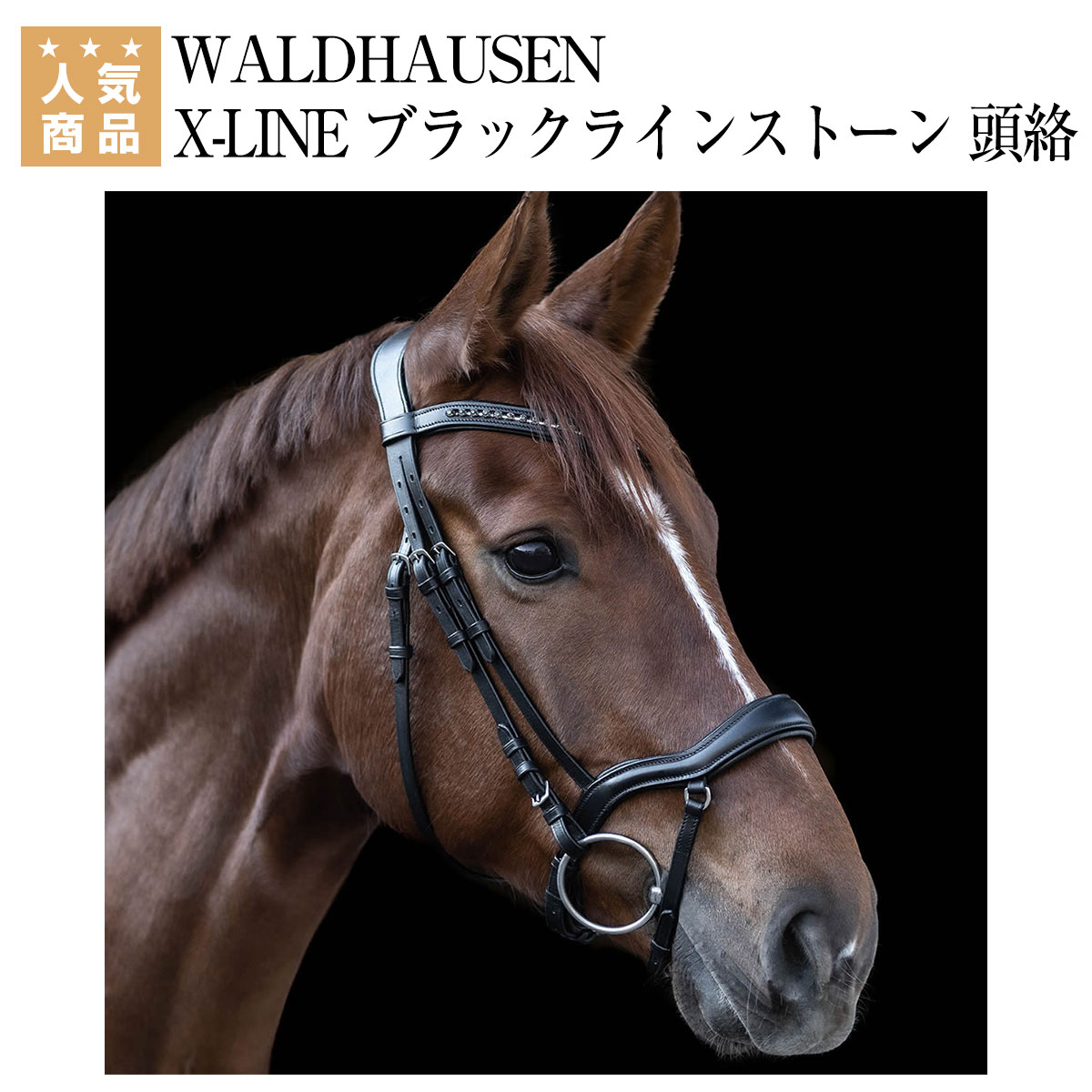 (キンケード) Kincade 馬用 レザー パッド入り クリスタル クランク フラッシュ ブライドル コンビ 頭絡 馬具 乗馬 ホースライディング 【海外通販】