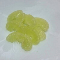 天草文旦土佐文旦パール柑