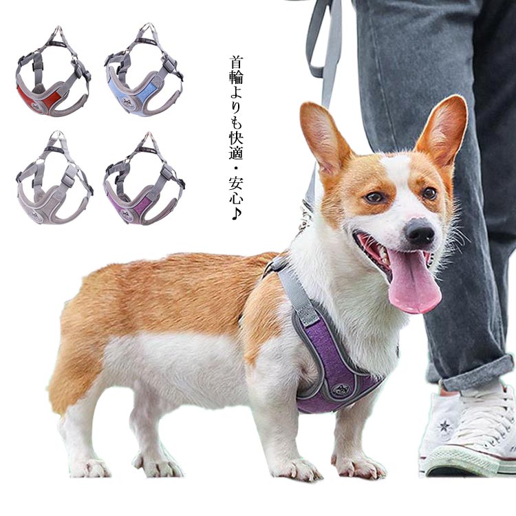 犬 ハーネス おしゃれ リードセット 胴輪 リード 首輪 小型犬 中型犬 可愛い 猫 犬...