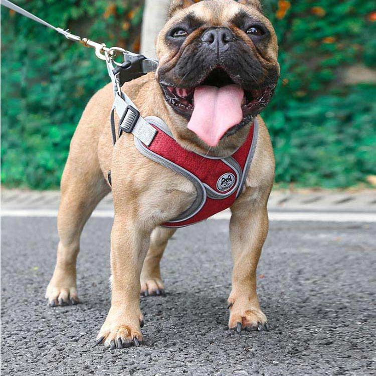 犬 ハーネス おしゃれ リードセット 胴輪 リード 首輪 小型犬 中型犬 可愛い 猫 犬...