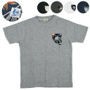 TES エンドレスサマー パイル生地 Tシャツ COMFORTABLE PILE ALOHA POCKET TEE FH-1574351