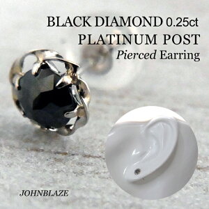 ԥ ֥å 0.25ct ϡɷϥץʥݥ 餭 Ҽ1 Pierce å   BLACK DIAMOND PLATINUM ˽ ˥å  ǥ å    ȥ饬 إå 奨꡼ 