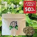 【在庫処分50%OFFセール】国産イタドリの葉茶(ティーバッグタイプ)2g×15包