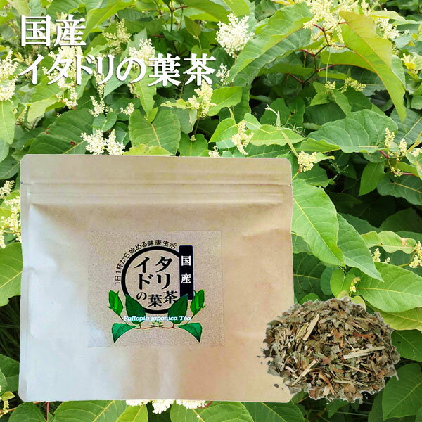 国産イタドリの葉茶（ティーバッグタイプ）2g×15包
