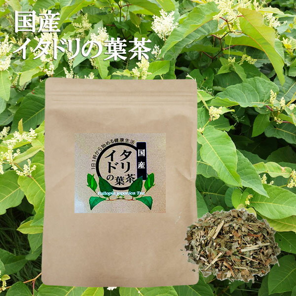 国産イタドリの葉茶（ティーバッグタイプ）2g×30包