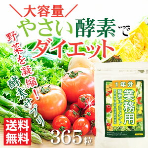 やさいと酵素をギュギュっと凝縮〓お徳用約1年分〓【業務用酵素サプリメント】凝縮配合やさい酵素を約1年分！圧倒的な酵素パワーでスリムに！【送料無料】【メール便対応】