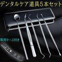 br60 5本セット 歯科口腔清掃キット デンタルケア ヤニ 口臭予防 専用ケース付き 歯石 歯の清掃ツール プラーク 茶汚れ 送料無料 男女兼用 プレゼント 歯石取り 器具