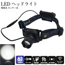 【5/16 8:59まで!P5倍】【アウトレット】【訳あり特価】【送料無料】イチネンMTM ミツトモ LED モーションセンサー ヘッドライト 150ルーメン ...