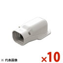 INABA 因幡電工 スリムダクトSD ウォールコーナー ホワイト 10個セット SW100W SW-100-W【まとめ買い特価】|詳細画像