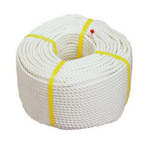 JEFCOM/ジェフコム DENSAN/デンサン クレモナSロープ φ18×100m DPK-1851エステル使用で滑りにくい●エステル使用で滑りにくい●作業性が良い（くくりやすい）●伸びが少なく水に沈む●両アイ加工付※受注生産品につき、ご注文後のキャンセルはご容赦願います。 仕様サイズ18φ×100m 破断強度31.5kN※受注生産品のため通常より納期にお時間がかかります。送料無料対象外地域ありこちらの商品は受注生産品のため、当店に在庫のない場合はお届けに通常よりお時間がかかります。 また、受注生産品のためご注文後のキャンセル及び返品は不可となります。予めご了承下さいませ。