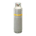 【法人様限定販売】【送料別途見積】TASCO イチネンタスコ 冷媒回収用ボンベ TA110-100N 【北海道・沖縄・離島配送不可】