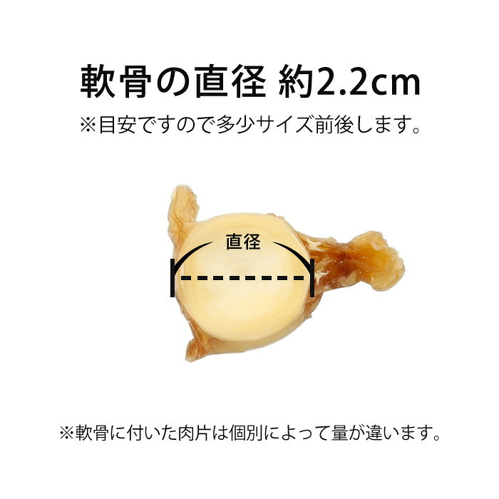 サメ軟骨 中ラムネ 15g 犬用おやつ トリーツ 国産 鮫 軟骨 100%天然