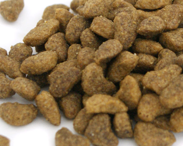 ���꡼��ե��å��� �ɥ饤 �ե��å�����ϡ��� �ץ�ߥ��७��åȥա��� 1.35kg ������̵���ۡڥݥ����10�ܡ�