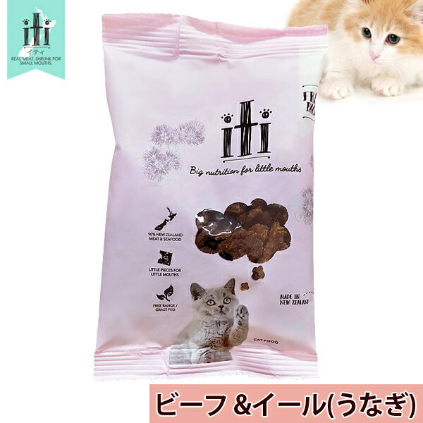 イティ iti 猫 ［ビーフ＆イール(うなぎ)］ 40g ドライキャットフード サンプル・お試しにおすすめサイズ！【あす楽対応】