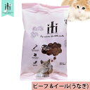 イティ iti 猫 ［ビーフ＆イール(うなぎ)］ 40g ドライキャットフード サンプル お試しにおすすめサイズ！【あす楽対応】