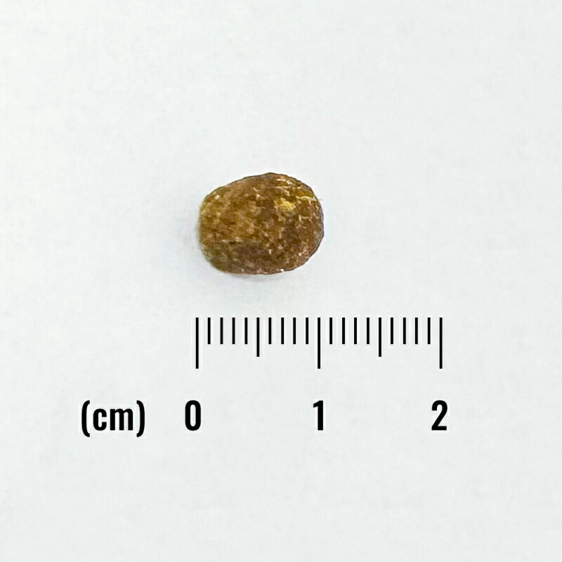 ナチュラルバランス ORIGINAL ULTRA 鶏肉&サーモンレシピ 1.8kg 室内猫用 キャットフード 正規品 グレインフリー オリジナルウルトラ インドアキャット