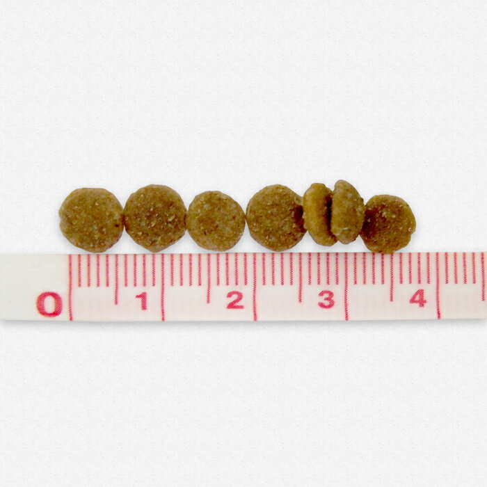 ネイチャーズプロテクション ホワイトドッグ ラム アダルト 1.5kg 犬 成犬 ドッグ...