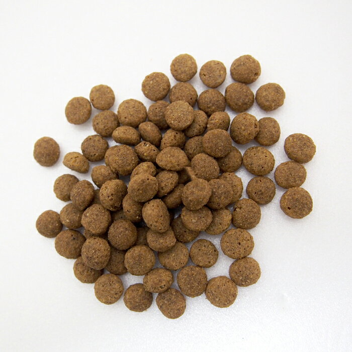 プロフェッショナル・バランス 1歳から 3kg(500g×6袋) 成犬用 ドッグフード プロフェッショナルバランス 【ポイント10倍】 3