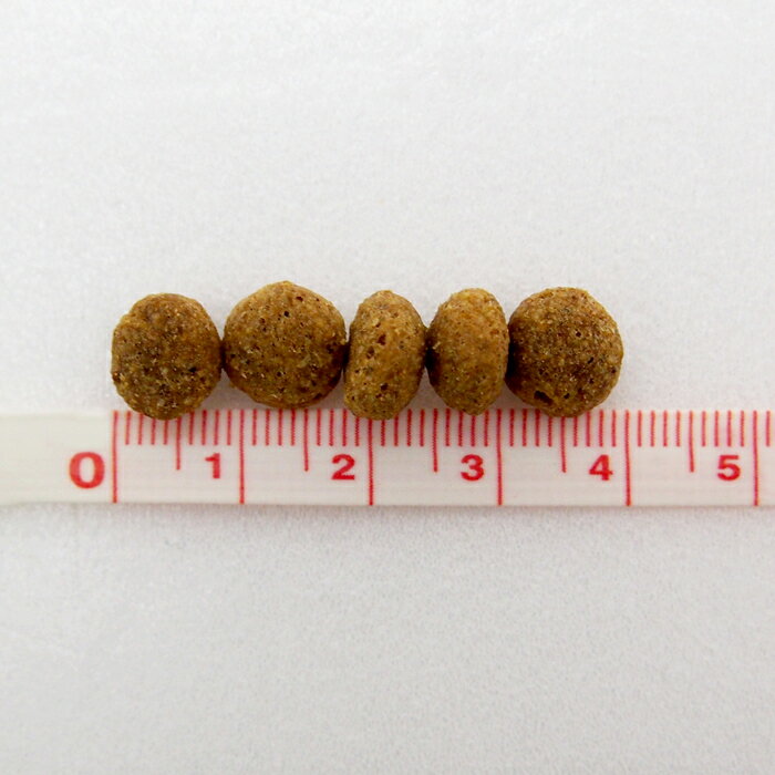 プロフェッショナル・バランス 1歳から 3kg(500g×6袋) 成犬用 ドッグフード プロフェッショナルバランス 【ポイント10倍】 2