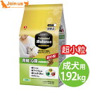 プロフェッショナル・バランス 超小粒 腎臓・心臓の健康維持 1.92kg(320g×6袋) 犬 成犬 小型犬 ドッグフード プロフェッショナルバランス 【ポイント10倍】