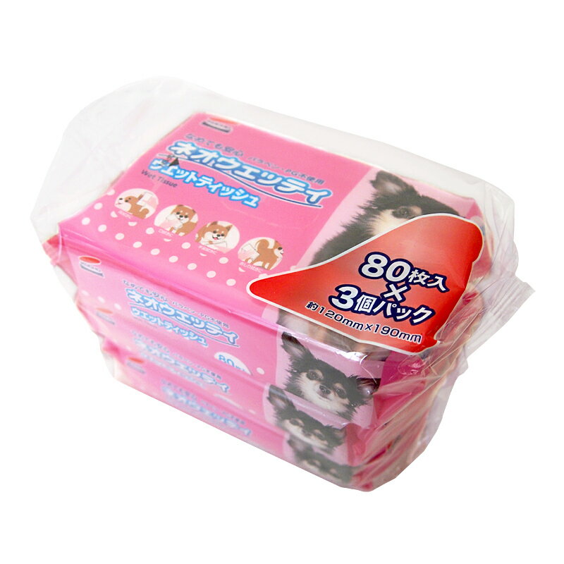 �ڥͥ����롼���饤�աۥͥ������åƥ��Υ����åȥƥ��å����80������3�ѥå����å�