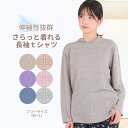 【Rakuten Fashion THE SALEラスト7/12(土)09:59まで】シニアファッション レディース tシャツ トップス 母の日 プレゼント介護...