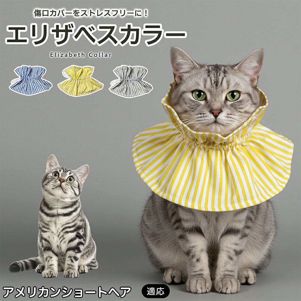 術後や皮膚トラブルの際、傷口を舐めたり引っかいたりしてしまうペットにはエリザベスカラーが便利ですが、硬いプラスチックタイプは首まわりへの圧迫感や動きにくさが気になることもあります。本商品はやわらかな布素材を採用し、毎日のケアをやさしくサポートします。 商品詳細 商品名 ペット用ソフトエリザベスカラー 布製 サイズ調整タイプ 適応対象 アメリカンショートヘア 商品説明 硬いプラスチック製カラーの圧迫感や動きにくさが気になるペットに使いやすい、やわらか布製のエリザベスカラーです。首元にふんわり広がる形状で、傷口や皮膚トラブル部分への舐め・引っかきをやさしくガード。ドローコード式で首まわりを調整しやすく、頭からかぶせるだけで装着も簡単です。軽量で食事・飲水・お昼寝など日常動作を妨げにくく、汚れた場合は丸洗いできるため清潔に使えます。グレー・ブルー・イエローの3カラーから選べます。 用途 術後ケア／傷口保護／舐め防止／引っかき防止／皮膚トラブル時／避妊・去勢後ケア／日常ケア バリエーション グレー／ブルー／イエロー 仕様 布製ソフトタイプ／ドローコード式サイズ調整／軽量設計／頭からかぶせる簡単装着／丸洗い対応 お手入れ 汚れやニオイが気になる場合は丸洗いできます。洗濯後は形を整え、十分に乾燥させてからご使用ください。洗濯機使用時は洗濯ネットの使用をおすすめします。 注意事項 本製品は傷口や患部への接触を完全に防止するものではありません。装着後は首まわりがきつすぎないか、食事・飲水・呼吸・歩行に支障がないか確認してください。長時間使用する場合は定期的に状態を確認してください。 生産国 CHINA 梱包や発送 環境保護の観点より簡易梱包にて発送いたします。 関連キーワード エリザベスカラー 猫 犬 ソフト 布製 ペットカラー 術後 傷口保護 舐め防止 引っかき防止 避妊 去勢 小型犬 猫用 犬用 サイズ調整 洗える 軽量 ドローコード
