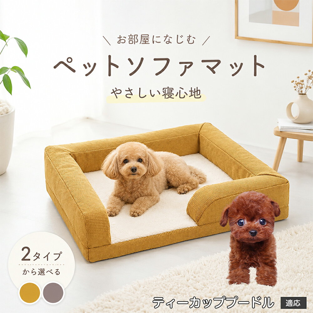 ティーカッププードル 猫 ベッド 犬 ソファーベッド ペットベッド 洗えるカバー 隠しファスナー 3D 高反発クッション 底冷え防止 防寒 暑さ対策 滑り止め付き 小型犬 トイプードル チワワ 柴犬パピー 62×50cm