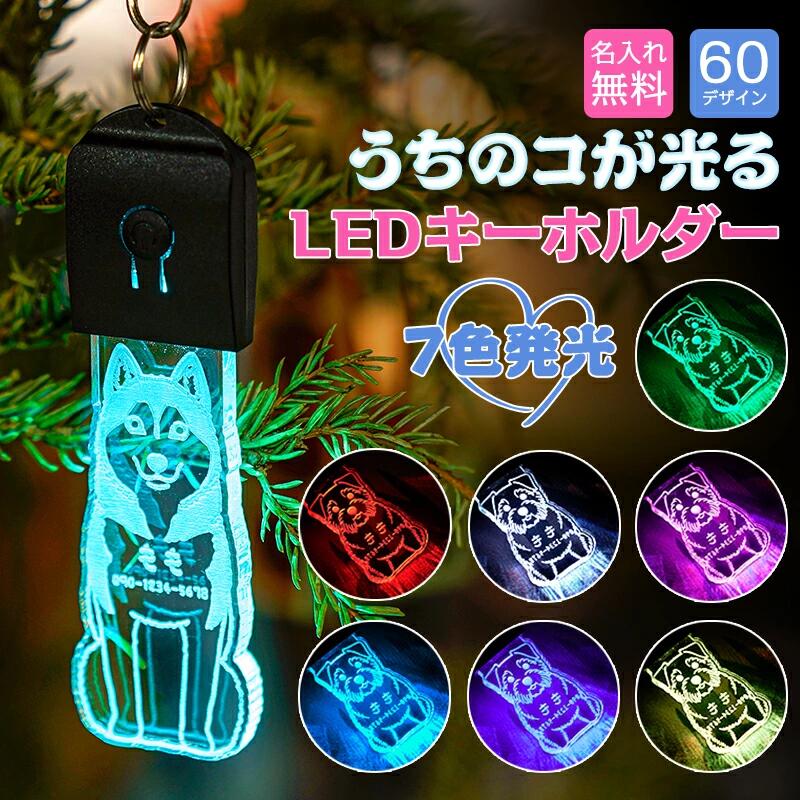 ¨Ǽ̾  ۥ »һ  饤 ڥåȥ͡ॿ LED 60θ륨å USB ڥå  ꡼...