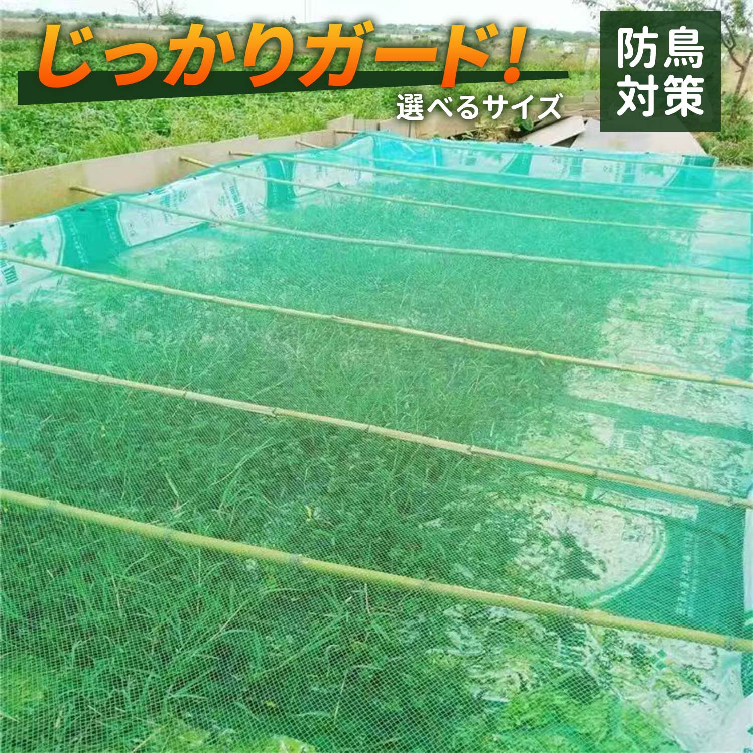 防鳥ネット広開口植物カバー 防虫ネット 害鳥対策 小動物防止 高さ調整可能 ガーデンカバー 果樹保護 ..