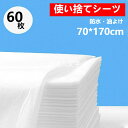 使い捨てシーツ ペーパーシーツ ベッドシーツ ベッドシート 使い捨てシーツ 幅70×長さ170cm 60枚入 防水 油よけ 薄い 不織布 美容院 エステ用 サロン用 ディスポ シーツ シート エステ用品 義務用 接骨院 整骨院 鍼灸院 折りたたみ ホワイト kz259z-2