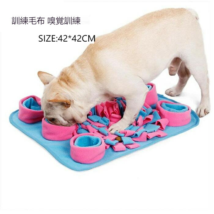 ̵  Ρ ̳з ڥå ɡŤޤ ¥ޥå ǭ ڥåȤ ץ쥼 ư­ ȥ쥹  ǭ...