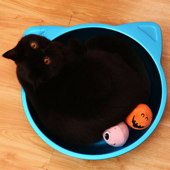 送料無料 ペットベッド ネコはち 夏 犬ベッド 猫暑さ対策 ペットベッド 冷却マット イヌ ネコ 涼しい 犬猫兼用 熱中症対策 夏のリゾート 猫 夏用 ペット用 ペット用品 クールマット 楽天海外通販　サマーリゾート c-chongwu-8864-ggのサムネイル