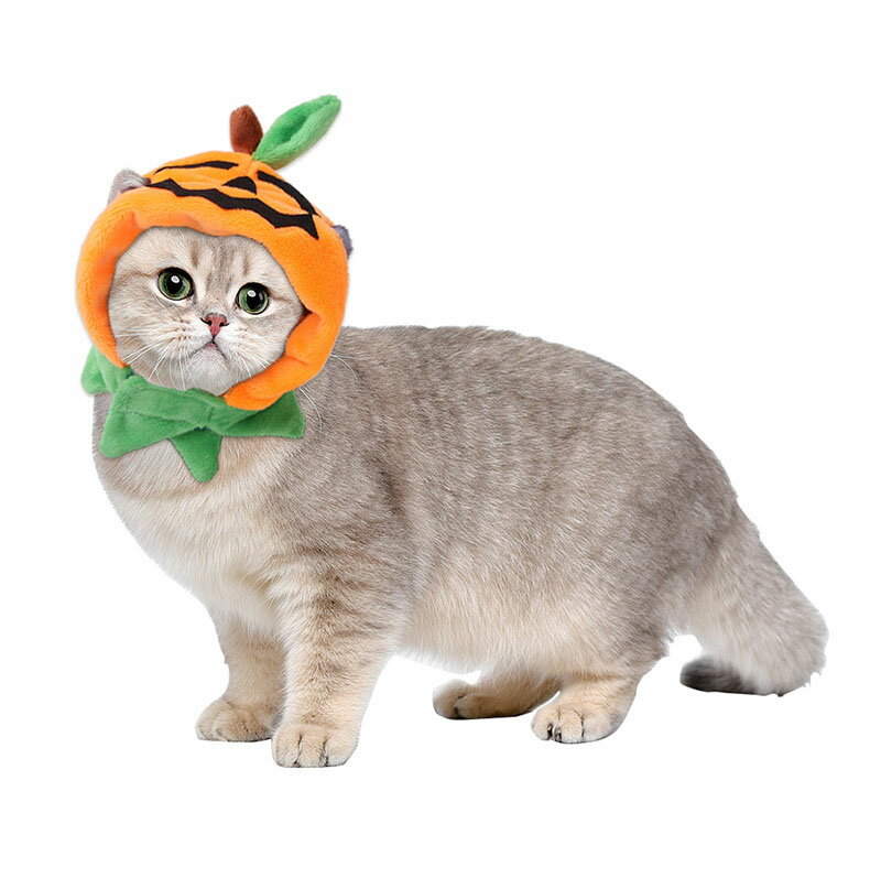 送料無料 ペット帽子 ハロウィン カボチャ 南...の紹介画像3