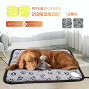 17日まで10%OFFクーポン配布中 ペットヒーター 犬 猫 ペット ホットマット 猫犬 寒さ対策 保温 加熱パッド ペット用 ホットカーペット ヒーター ホットカーペット 電気毛布 ペット用ヒーター 2段階温度調節 省エネ 噛み付き防止 暖房器具 45×45cm 50×70cm 大判サイズ