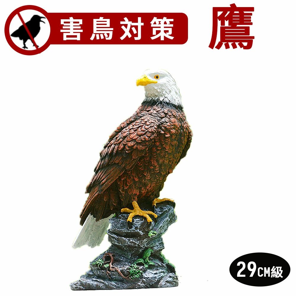 商品スペック 商品特徴ご注意（免責）＞必ずお読み下さい「注意事項」この商品を使用しての事故や損害につきましては一切の責任を負いかねます。 予めご了承ください。 取扱説明書保証書は付属しません。 害鳥対策に適しています。 スズメ、カラス、ムクドリ、ハト、コウモリなどを寄せ付けないスズメ、カラス、ムクドリ、ハト、コウモリなどの害鳥はその天敵である鷹が恐怖である為、精巧に作られたこの商品を任意の場所に置くだけで害鳥を寄せ付けません。 害鳥はその鳴き声さらには集団で来襲した際のフンが大きな問題です。 他の害鳥対策グッズと併用すればきっと害鳥被害は減ると思います。 フン害以外にも害鳥の悩みを解決畑の作物を害鳥から守る使用方法も当然ございます。 ムクドリ烏ヒヨドリと丹精込めて育てた作物を守るために是非ご利用ください。 ゴミを漁るカラスにも頭を悩ませると思います。 きちんとゴミ袋に入れて捨てたはずが、めぼしいゴミをくちばしでつついて袋に穴を当て無残にも残パンが散らかり、異臭を漂わせたり。 最寄りのゴミ置き場に是非設置してみて下さい。 ただカラスは非常に賢い鳥で学習能力が高く置物である事が学習されると仲間で情報共有し置物と認識されると又集まってくるので、複数体で対策したり、他の害鳥グッズと併用したり、設置場所を時折移動させたりと工夫してみて下さい。 カラス対策は少し忍耐が必要かもしれません。 材質は硬質レジン。 風雨日光に対して耐久性が高くもちろん屋外での使用が可能。 その精巧さで草木に紛れると違和感が全くありません。 耐久性のある硬質レジンを材料に採用しています。 屋外に長期間放置していていも風雨日光に対して耐久性があります。 写真の様にちょっと草木に紛れると実物と間違うくらいに羽の1枚1枚まで丁寧に表現されています。 鷹の鋭い爪や足場の岩、更には土台の岩場の植物などもリアルに作り込み。 さりげなく畑の脇に配置するなどで被害激減のお手軽害鳥対策。 鷹の鋭い爪や、足場の岩場の質感、足場に生えた植物などもさりげなく表現。 設置場所を選ばないように風景にさりげなくなじむように工夫されています。 畑の脇にさりげなく置くなど置くだけ簡単設置の害鳥対策グッズです。 単体でもこうかがありますが、他の害鳥グッズと併用すると影響が数倍に跳ね上がります。 是非ご利用ください。&nbsp;商品仕様「サイズ」18x12x29cm