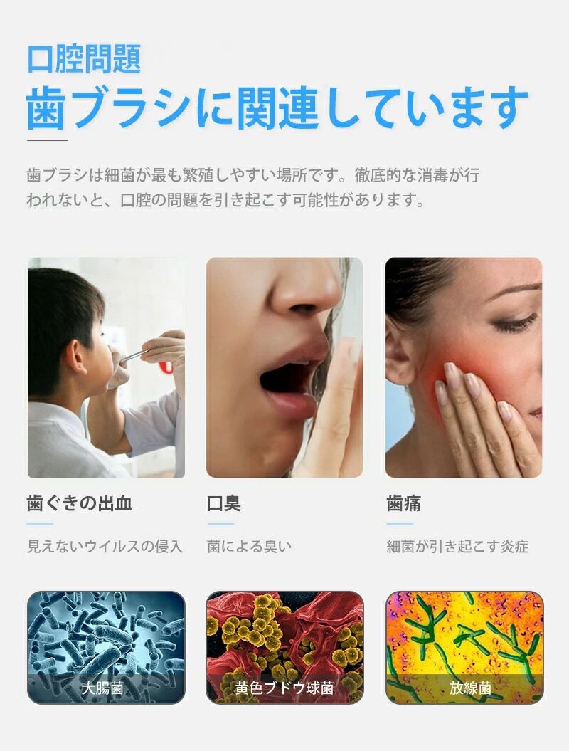 歯ブラシ除菌器 ミニ 冷風乾燥+UV除菌 カビ防止 歯ブラシ収納ホルダー ケース 静音...