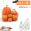 【全店10%OFFクーポン配布中】 ハロウィン飾り 7PCSハロウィン かぼちゃ DIY落書きかぼちゃ シミュレー..