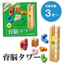 育脳タワー 知育玩具 3歳 木のおもちゃ 木製 知の贈り物 プレゼント 誕生日 ブロック パズル ウッドトイ 出産祝い 送料無料 入園祝い 子供 こどもの日 キ...