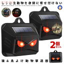 P5倍+最大2,000円OFFクーポン配布 動物撃退器 2個セット 猫よけ 鳥よけ ソーラー 太陽光 自動点灯 野生 動物 威嚇 防止 対策 予防 防水 動物除...